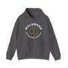Nylander 11 Pittsburgh Hockey Number Arch Design Unisex Hooded Sweatshirt