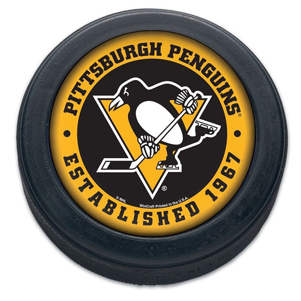 Pittsburgh Penguins Established Bulk Puck